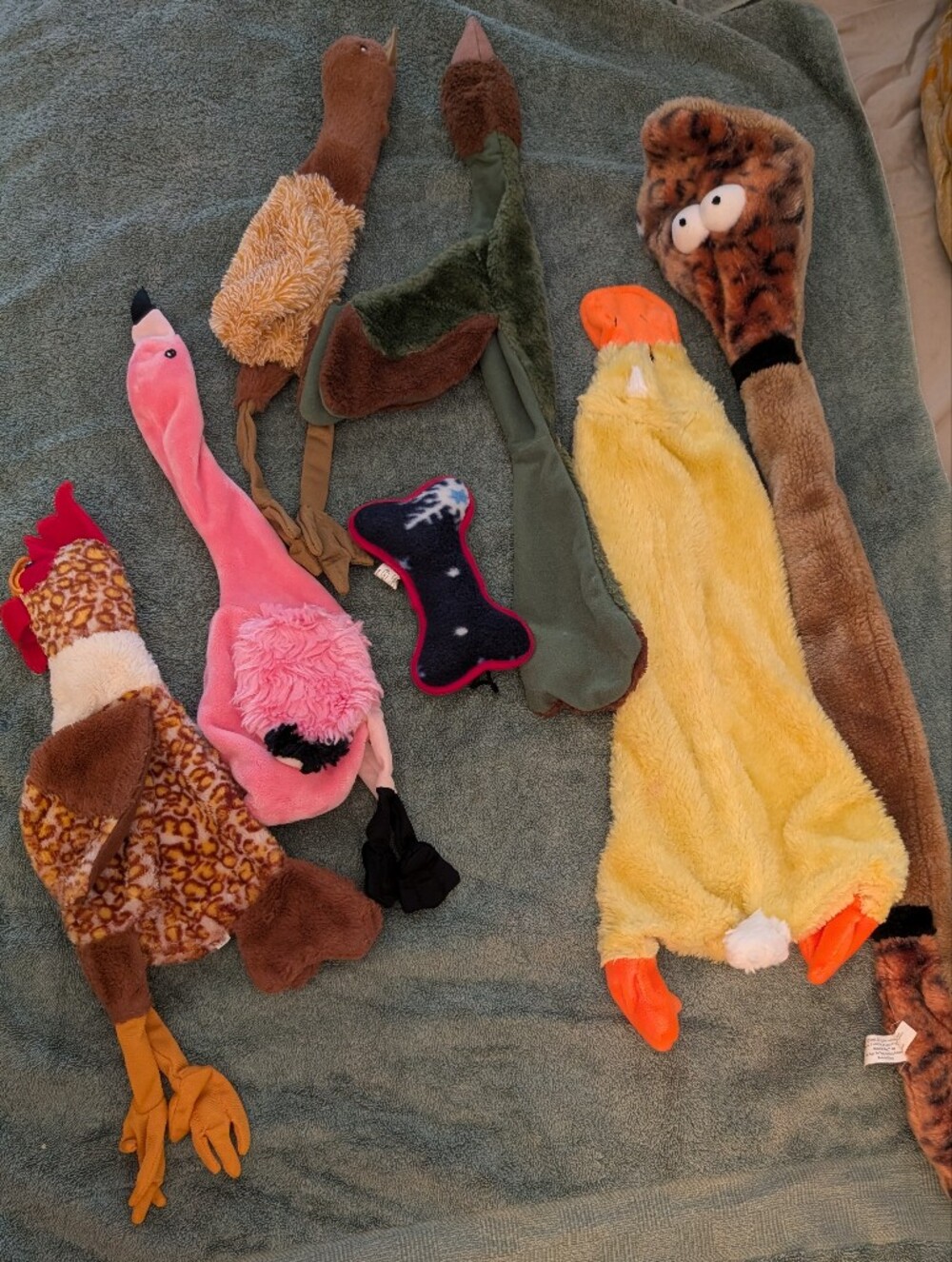 Assortment Of Plush Dog Toys